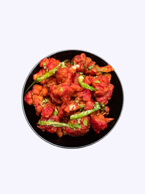 Gobi 65
